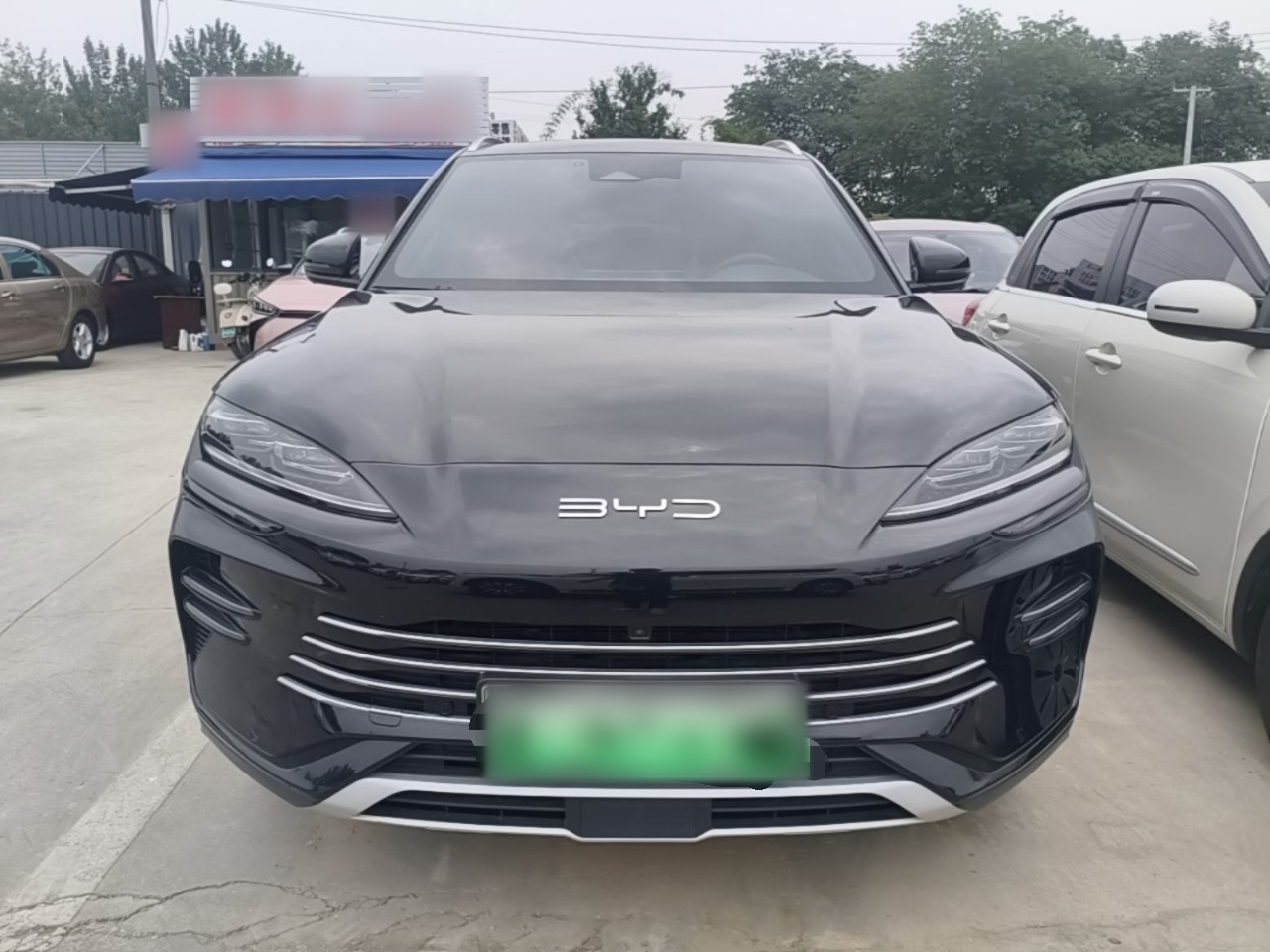 BYD song plus new energy 2023 — фото 2