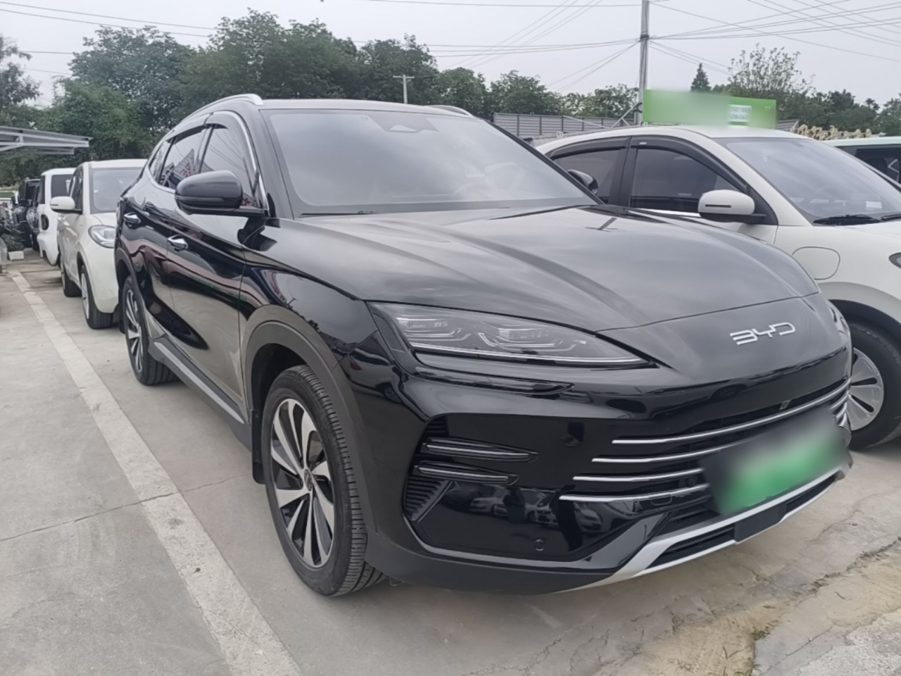BYD song plus new energy 2023 — фото 3