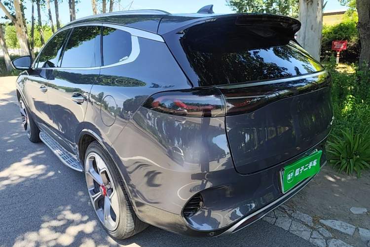 Denza X 2020 — 4