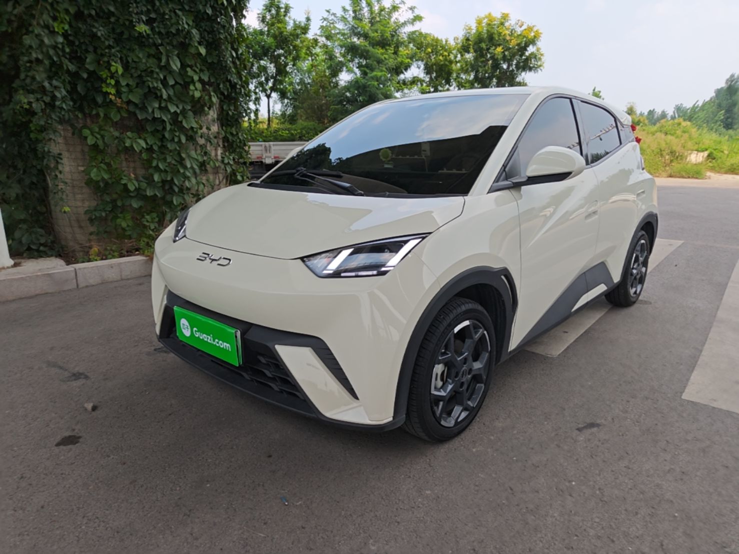 BYD Dolphin Mini 2025 — фото 1