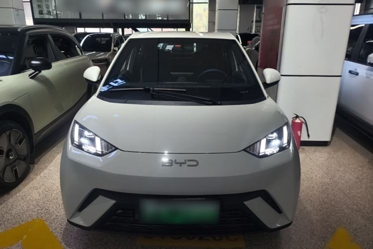 BYD Dolphin Mini 2025 — 2