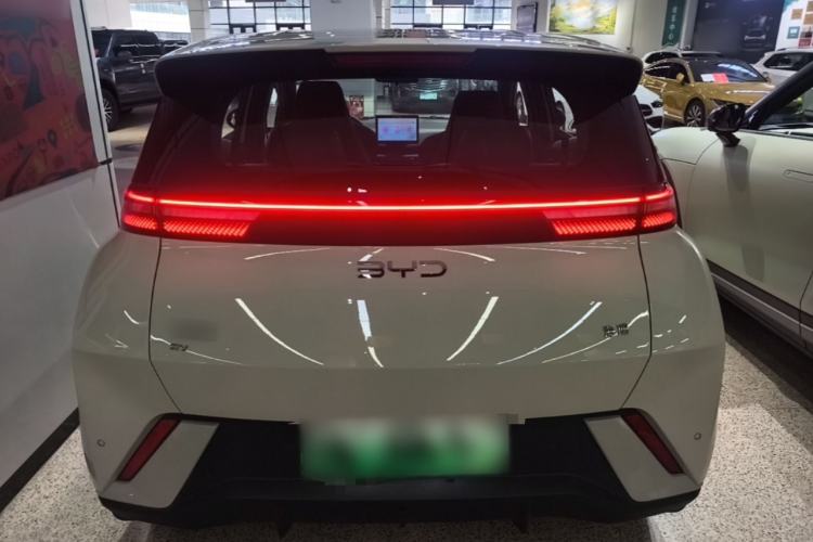 BYD Dolphin Mini 2025 — 5