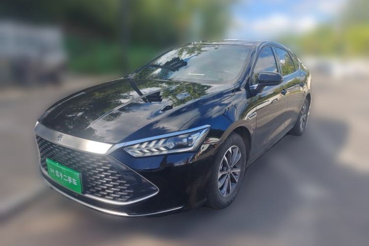 BYD Qin PLUS 2024 — фото 1