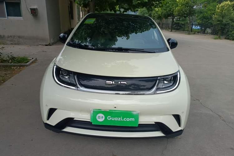 BYD Dolphin 2024 — 2