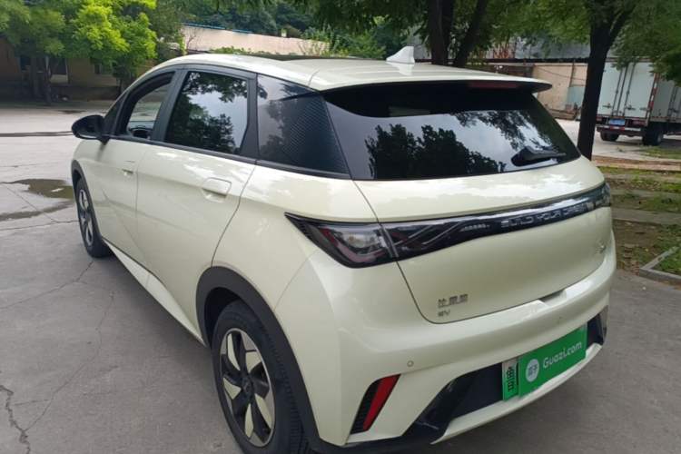 BYD Dolphin 2024 — 4