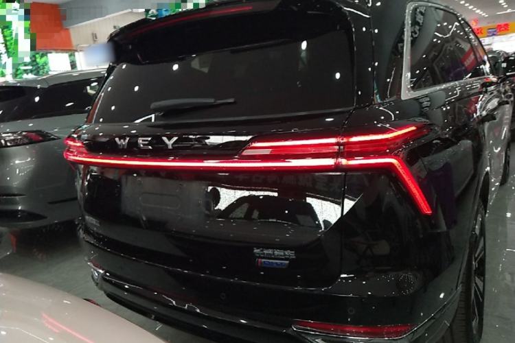WEY Lanshan 2023 — 5
