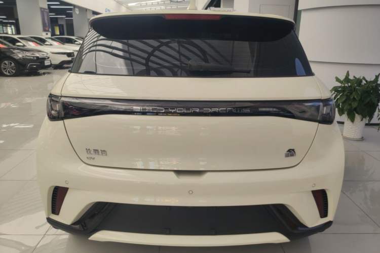 BYD Dolphin 2023 — 5