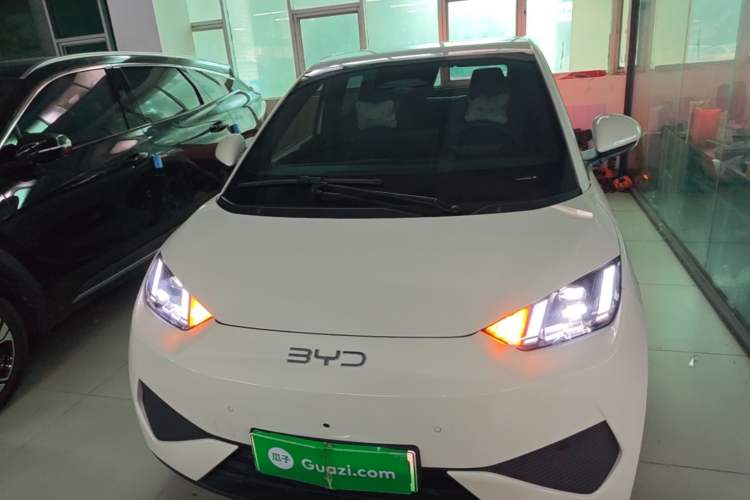 BYD Seagull 2025 — 2