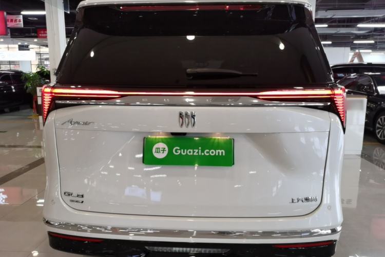 Buick gl8 new energy 2026 — 5