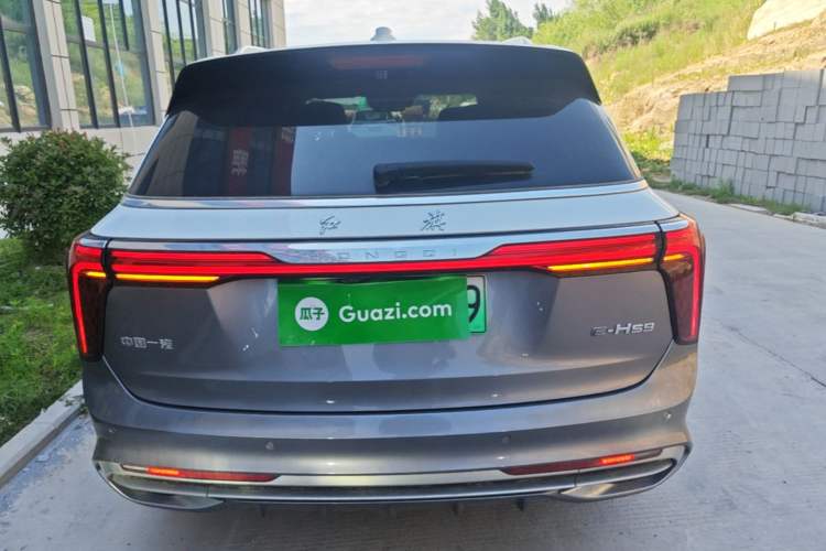 Hongqi e hs9 2022 — 5
