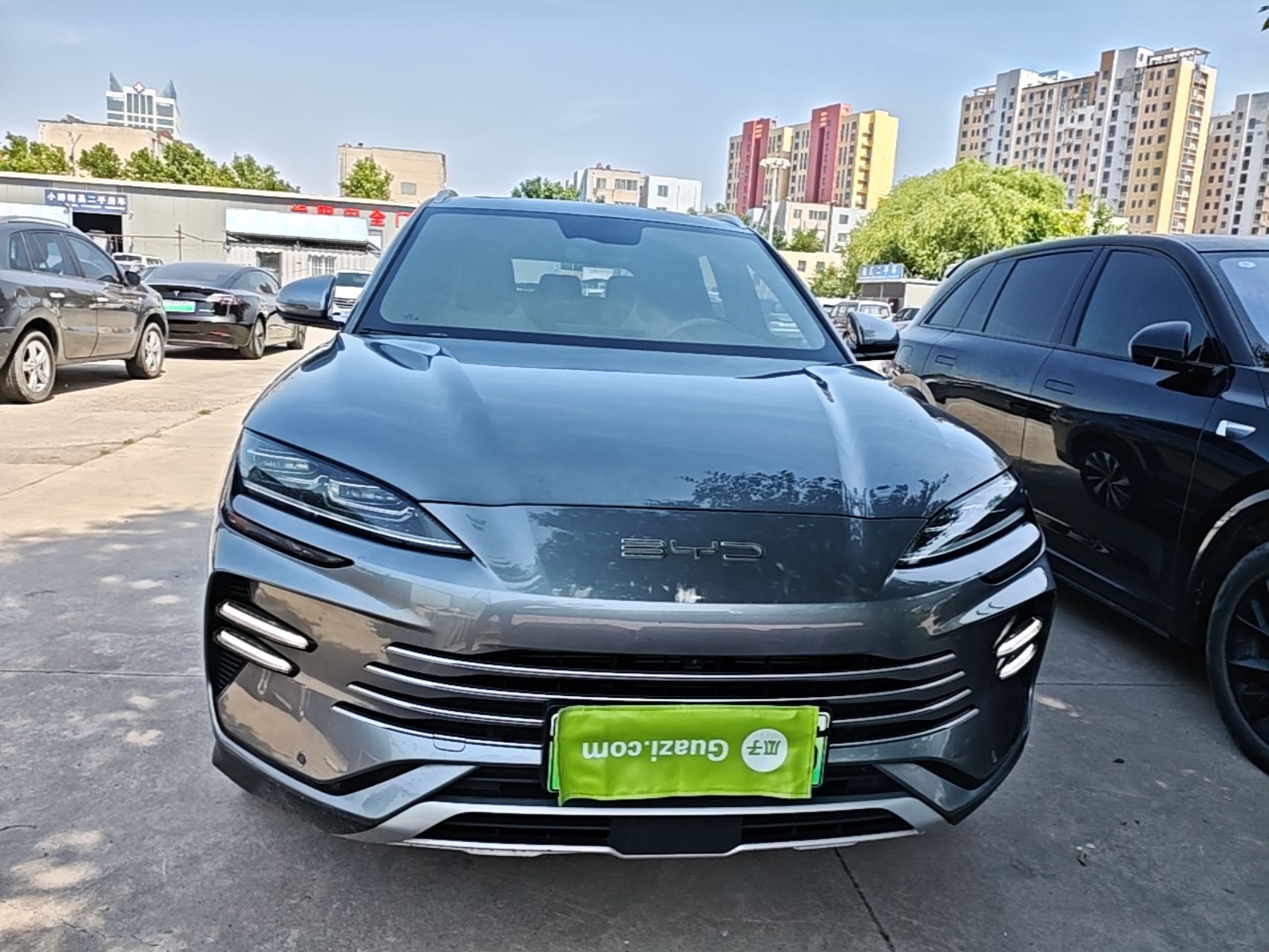 BYD song plus new energy 2024 — фото 2