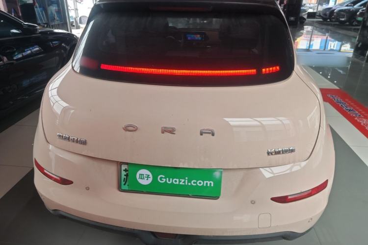 Ora Good Cat 2021 — 5