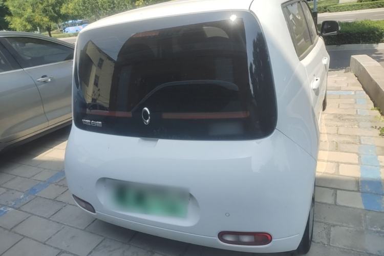 Ora white cat 2020 — 5