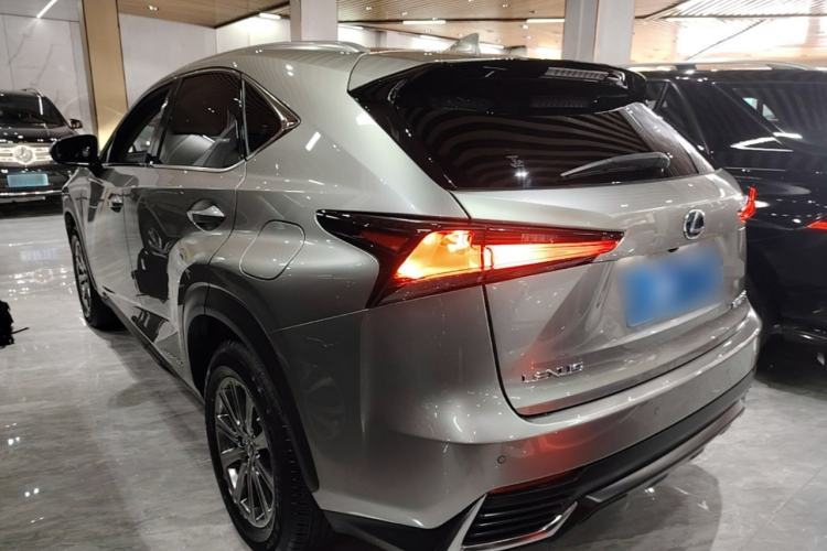 Lexus NX 300h 2020 — 4