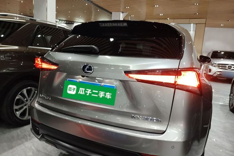 Lexus NX 300h 2020 — 5