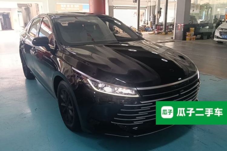 BYD Destroyer 05 2024 — 3