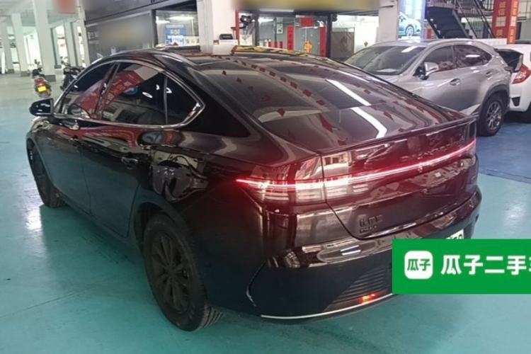 BYD Destroyer 05 2024 — 4