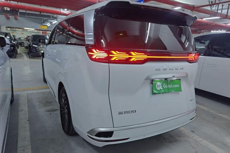Denza D9 2022 — 4