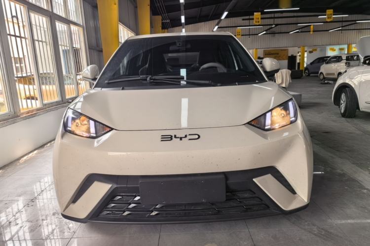 BYD Seagull 2025 — 2