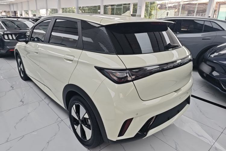 BYD Dolphin 2023 — 4