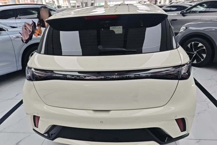 BYD Dolphin 2023 — 5