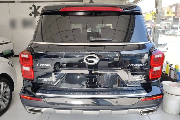 GAC Trumpchi trumpchi gs8 2020 — фото 5