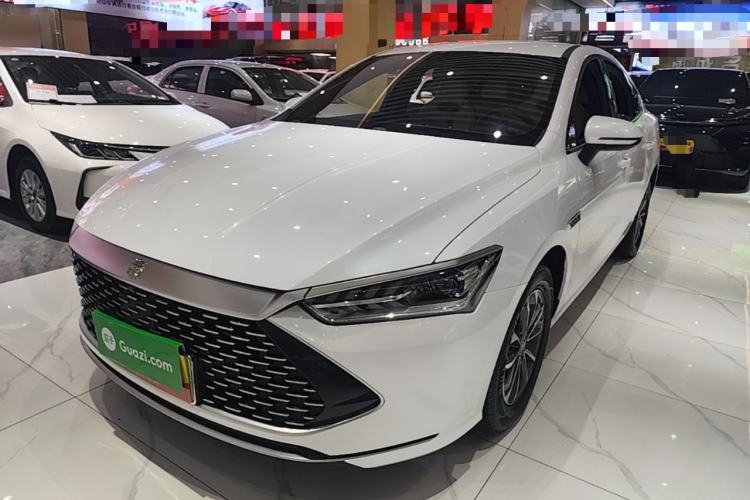 BYD Qin PLUS 2024 — фото 1
