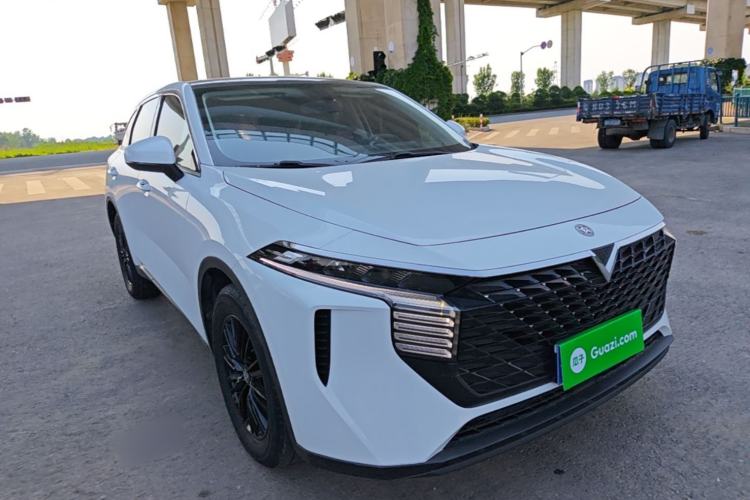 Venucia V 2021 — 3