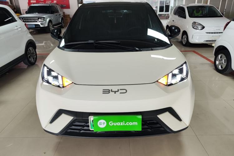 BYD Seagull 2024 — 2