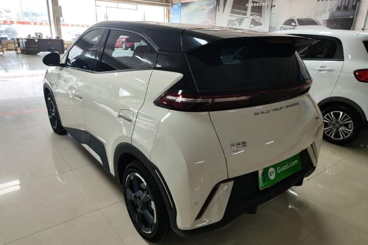 BYD Seagull 2024 — 4