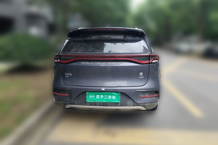 BYD Tang New Energy 2021 — 3
