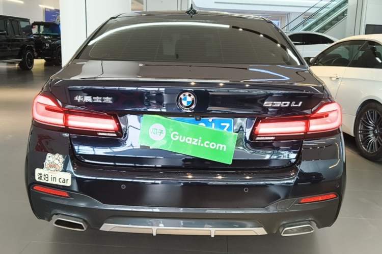 BMW 530Li 2022 — 5
