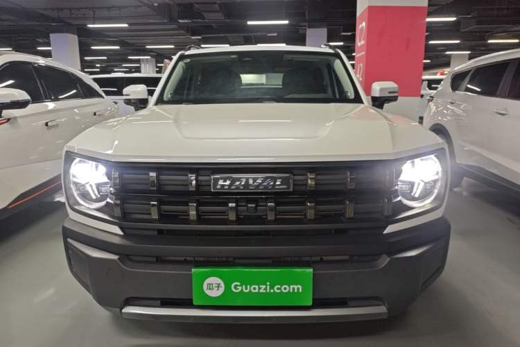 Haval X DOG 2022 — 2