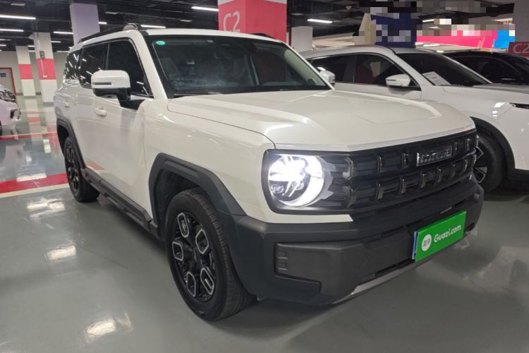 Haval X DOG 2022 — 3