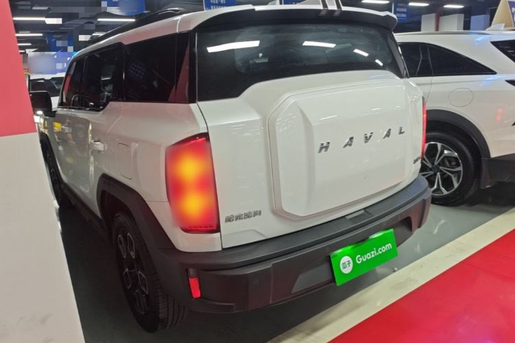 Haval X DOG 2022 — 4