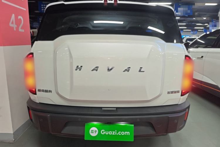 Haval X DOG 2022 — 5