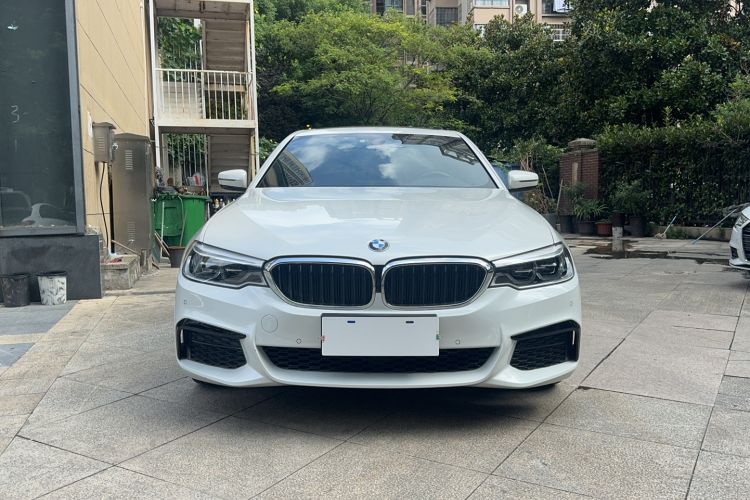 BMW 530Li 2020 — фото 2