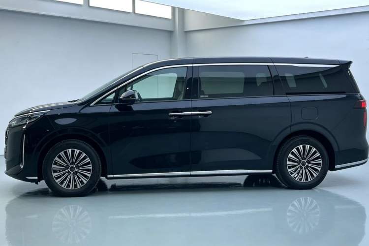 BYD M9 2025 — 3