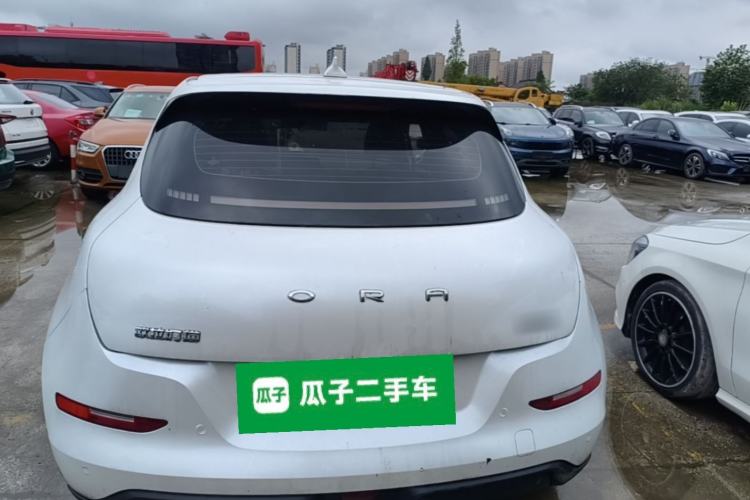 Ora Good Cat 2023 — 5