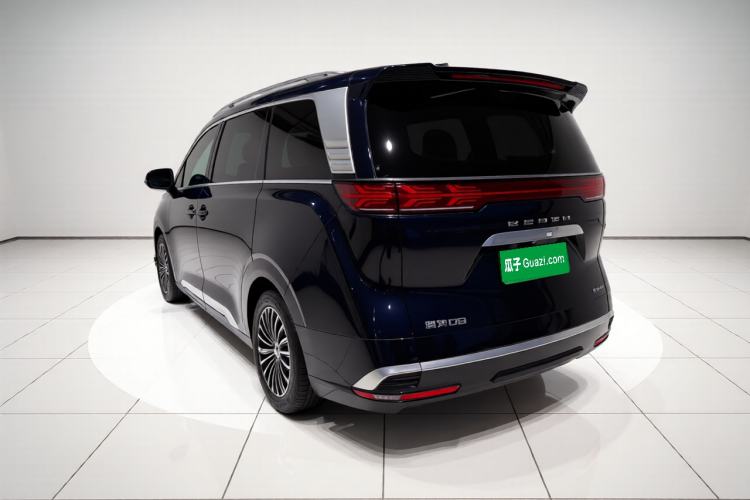 Denza D9 2022 — 4