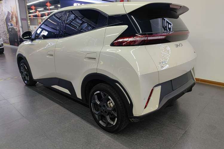 BYD Dolphin Mini 2025 — фото 4