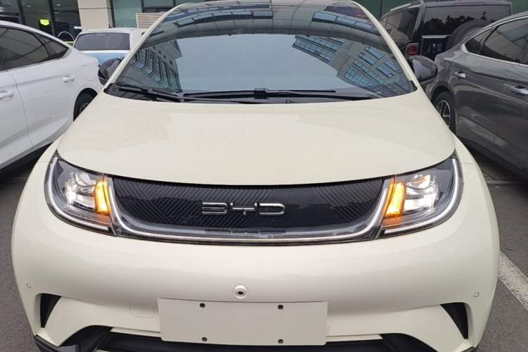 BYD Dolphin 2023 — 2