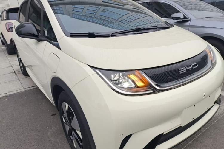 BYD Dolphin 2023 — 3