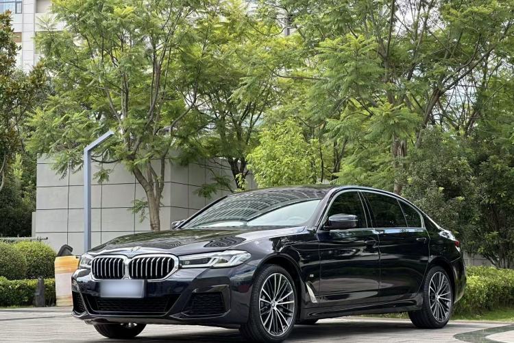 BMW 530Li 2021 — фото 1