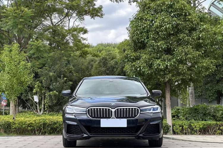 BMW 530Li 2021 — фото 2