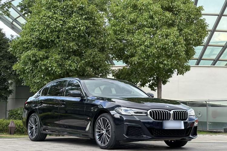 BMW 530Li 2021 — фото 3