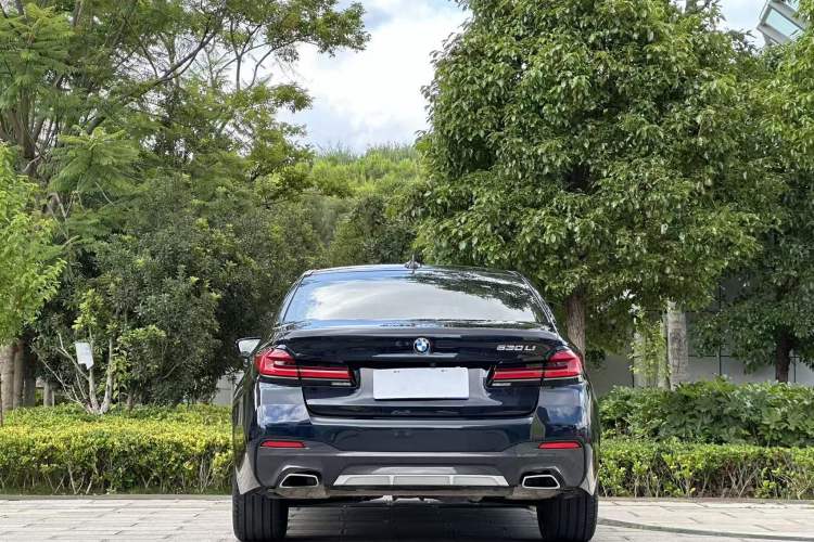 BMW 530Li 2021 — фото 5