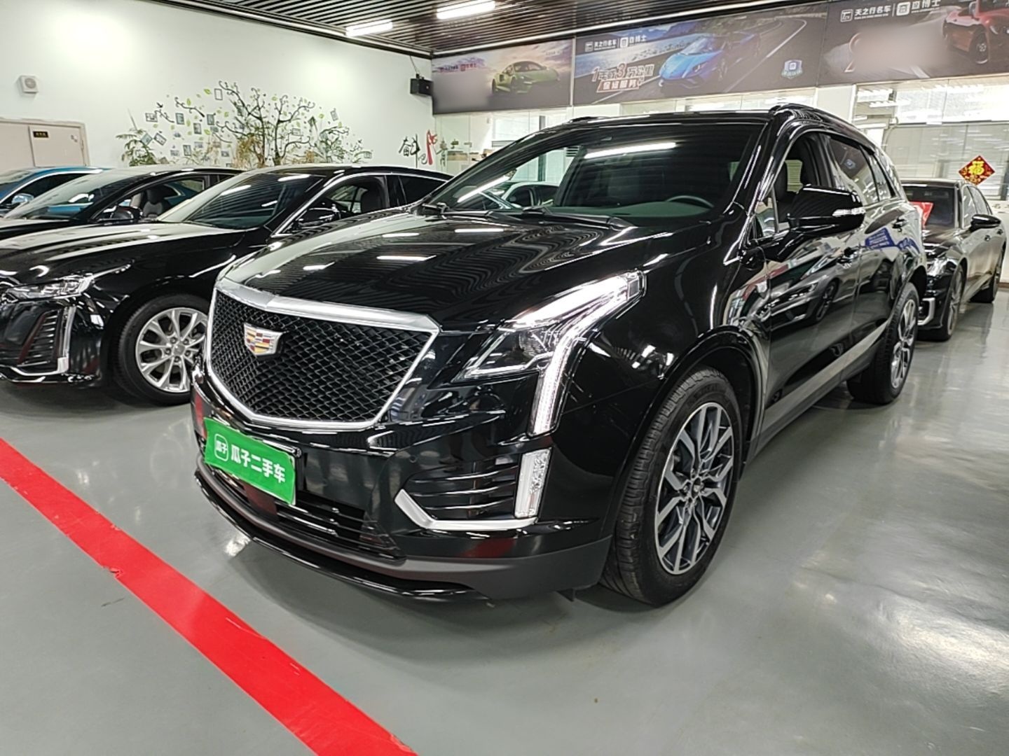 Cadillac xt5 2023 — фото 1