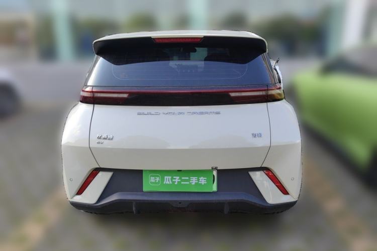 BYD Seagull 2024 — 5