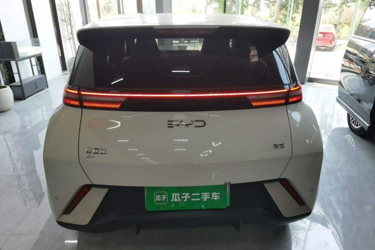 BYD Dolphin Mini 2025 — 5